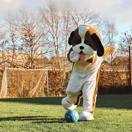 Amber Springs Hotell Gorey