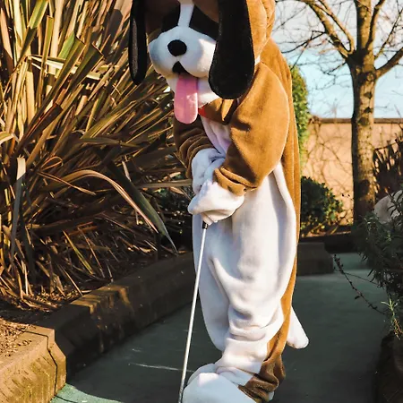 Amber Springs Hotel 4*