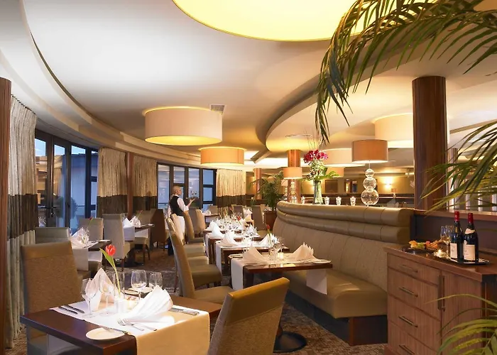 Amber Springs Гори