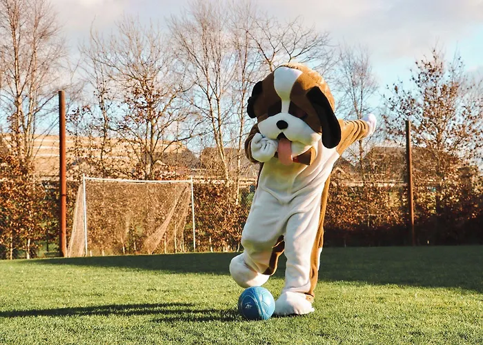 Amber Springs Hotel Gorey