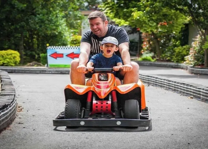 Отель Amber Springs