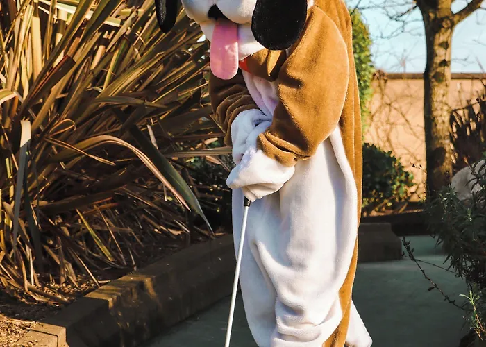 Amber Springs Отель 4*